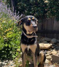 Contact 5 314587f72ff2eeeaea594ae71b0be89bed224496