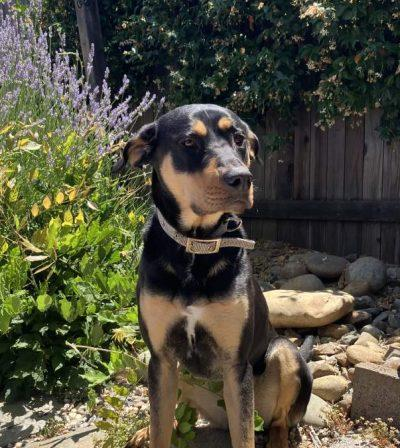 bb53c681dfff73069077ba4f9f47e55f6e2642df