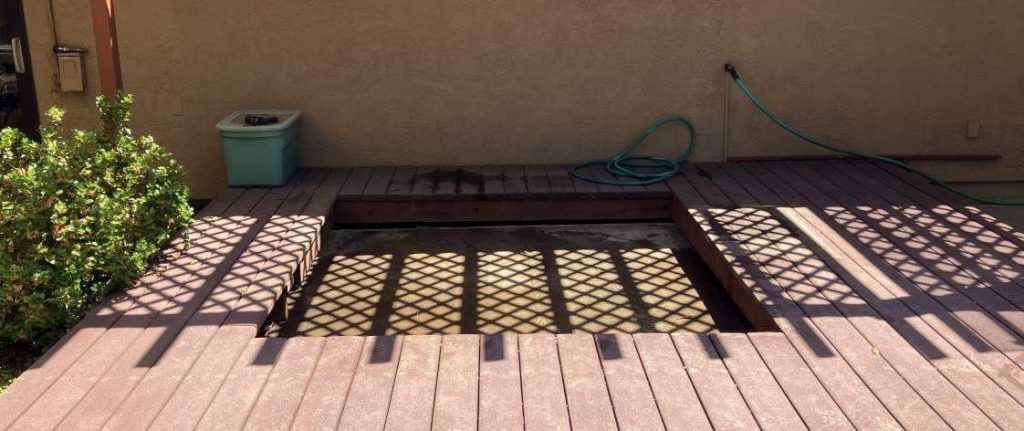 IMG 0735 e1700428492252